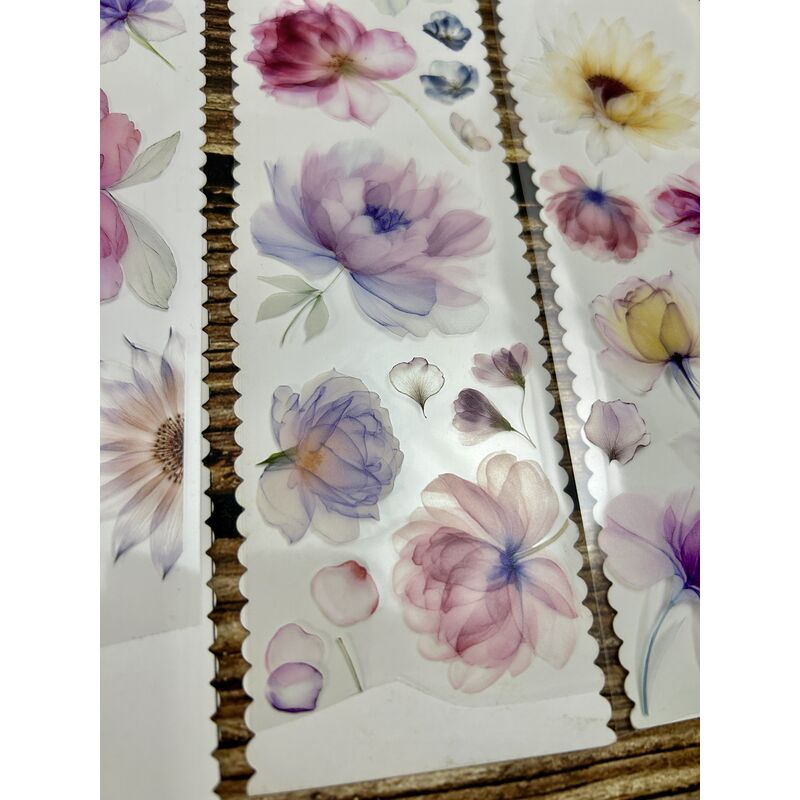 QYマステ7月新作♡Gentle wind PET