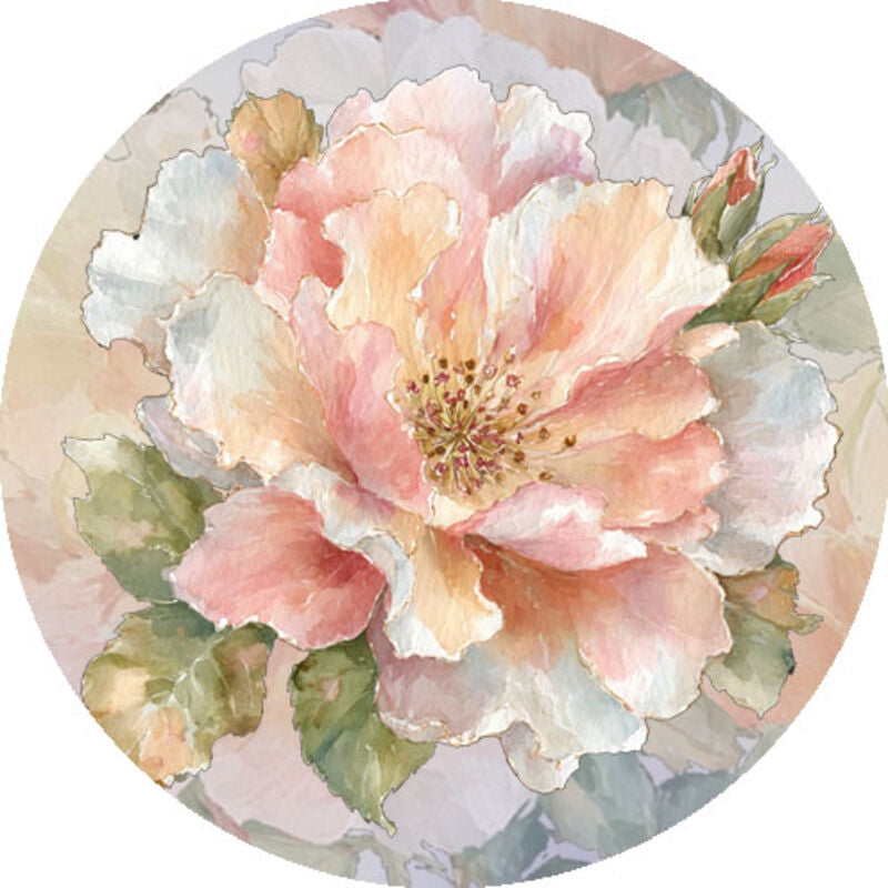 QYマステ8月新作Honey Peony 6cm×5M 貝殻光