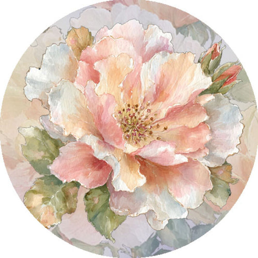 QYマステ8月新作Honey Peony 6cm×5M 貝殻光