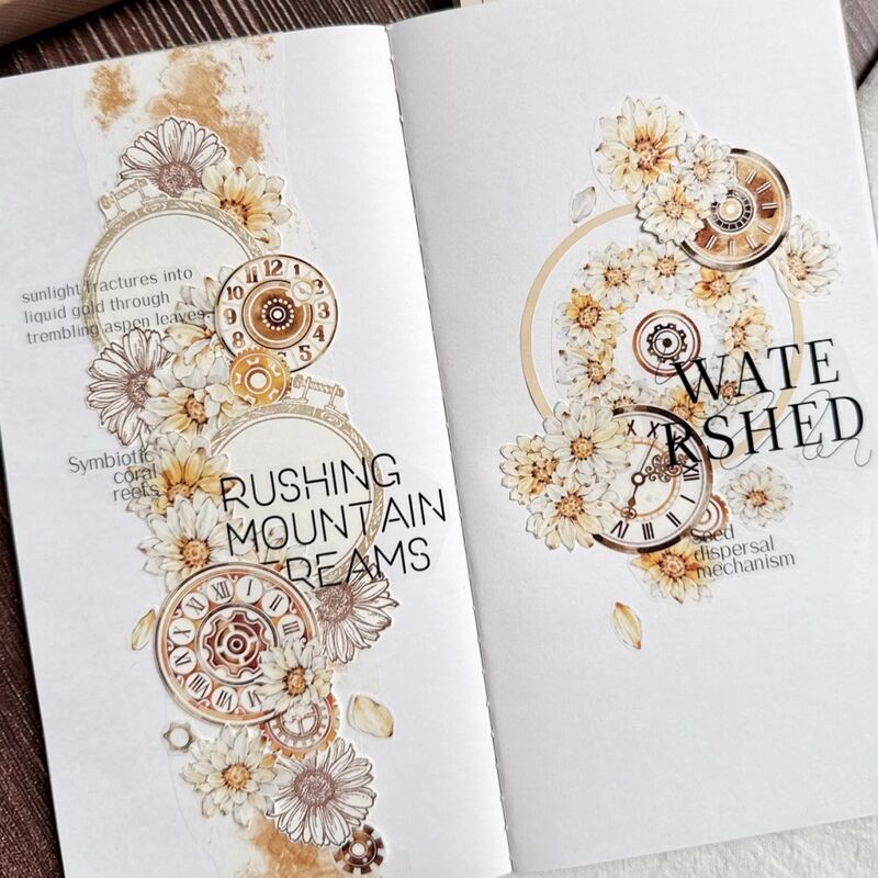 KKYマステ【自然时刻】6cm×5M(100cmループ)PET