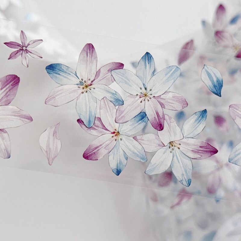 KKYマステ【风雨兰】5cm×5M(125cmループ)PET