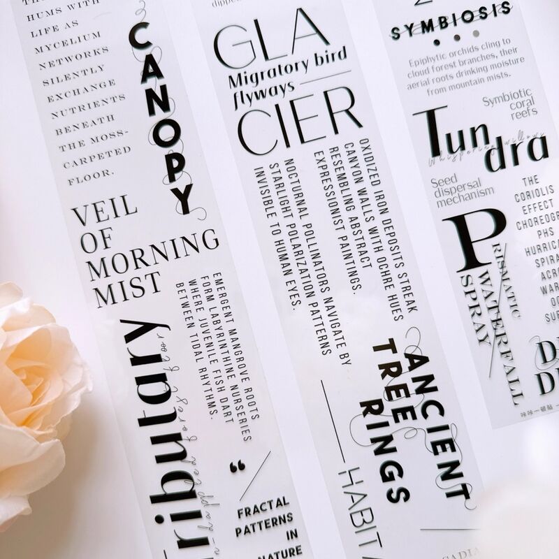 KKYマステ【自然时刻】6cm×5M(100cmループ)PET