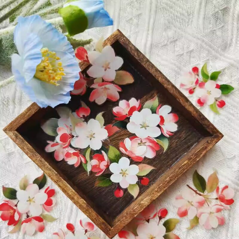 NANAマステ彤云 PET