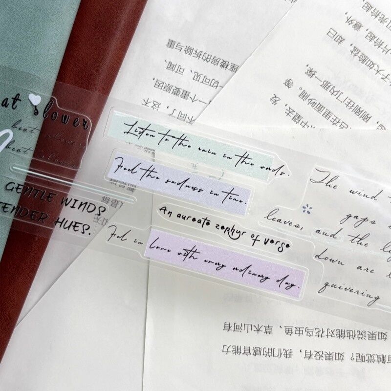 ZYSマステ淡蓝小时光 PET