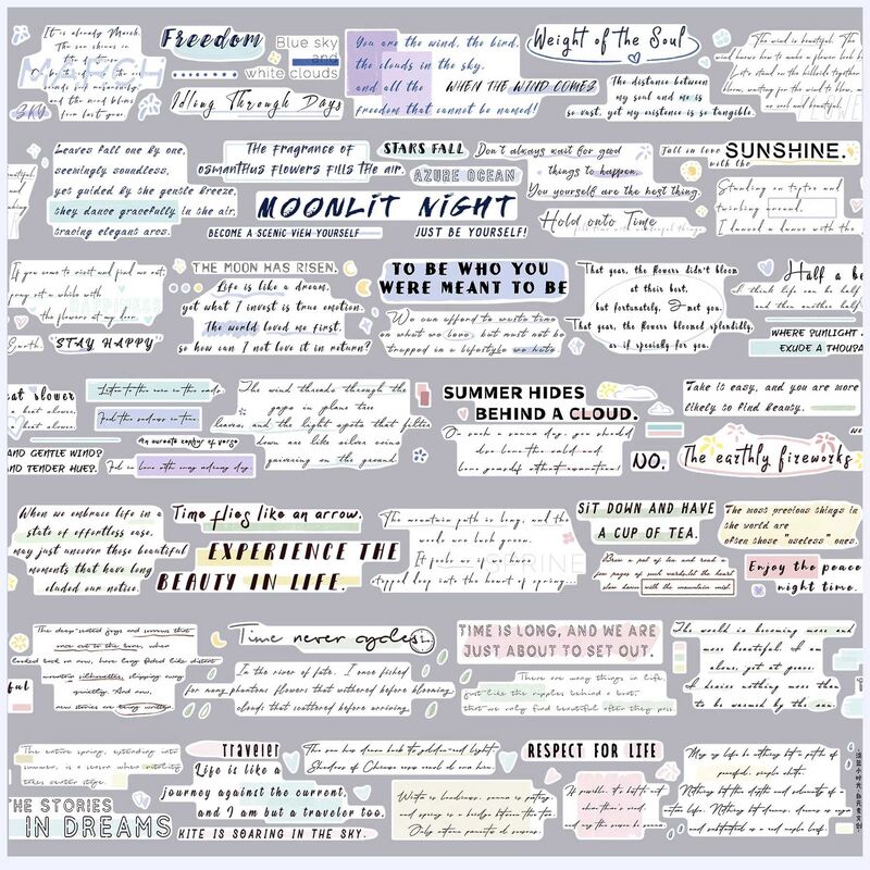 ZYSマステ淡蓝小时光 PET