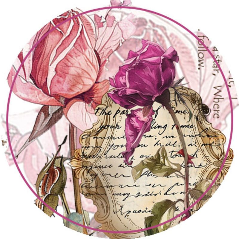 QYマステ 貝殻光など – QY.DesignStudio