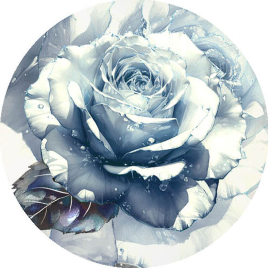 QYマステ10月新作Rosy Mist 6cm×5M 貝殻光