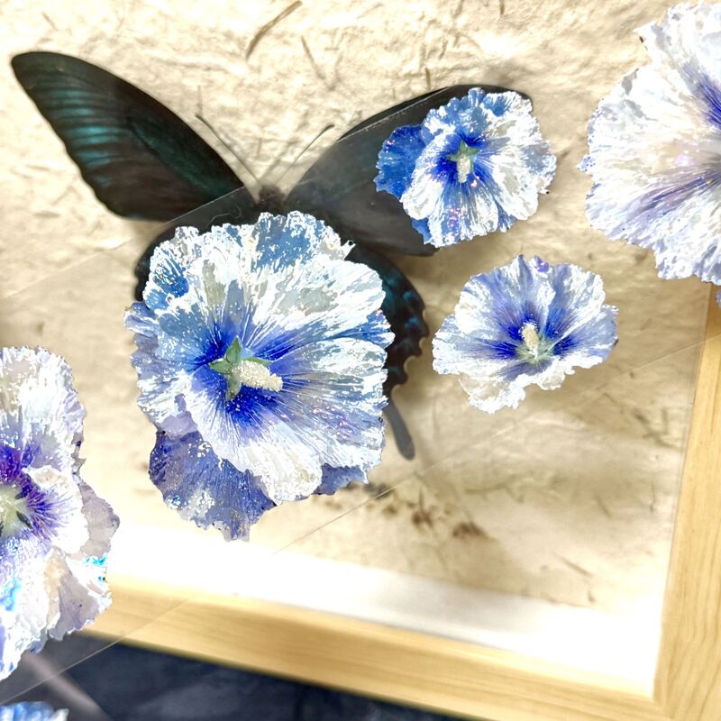 QYマステ6月新作 Ruri Bloom  6cm×5M 貝殻光