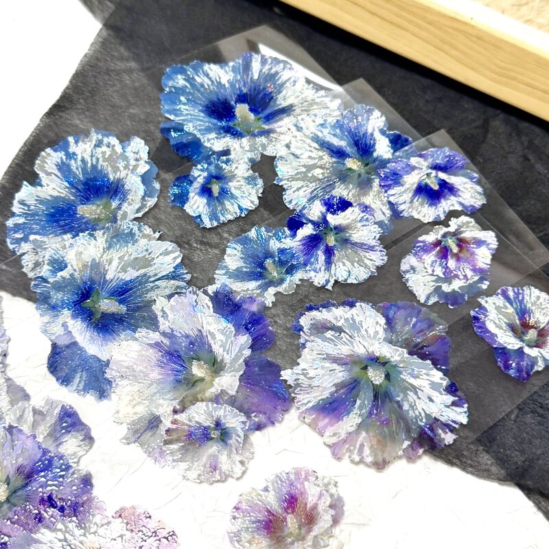 QYマステ6月新作 Ruri Bloom  6cm×5M 貝殻光