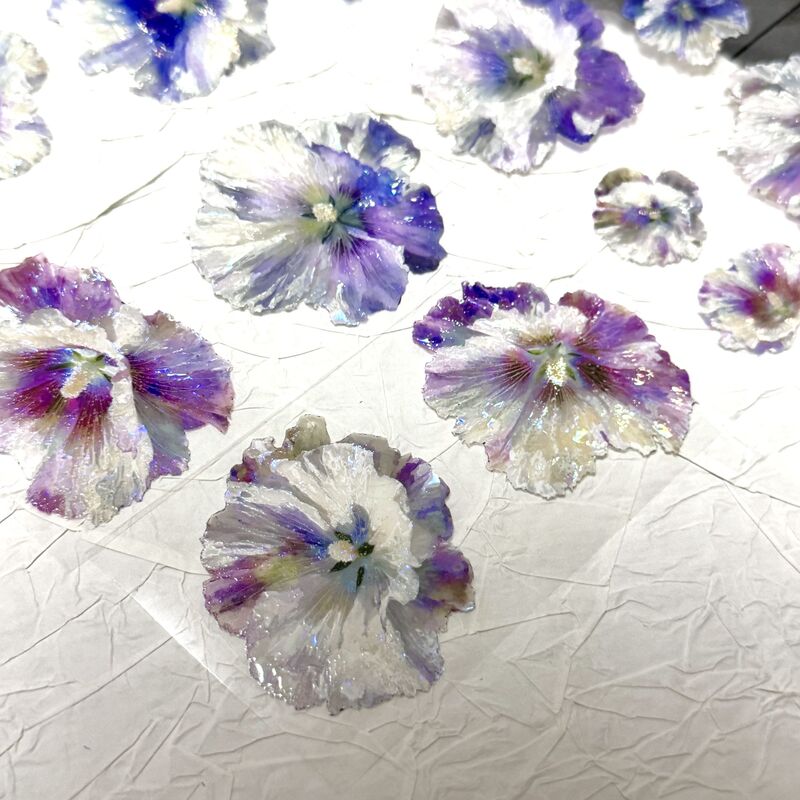 QYマステ6月新作 Ruri Bloom  6cm×5M 貝殻光