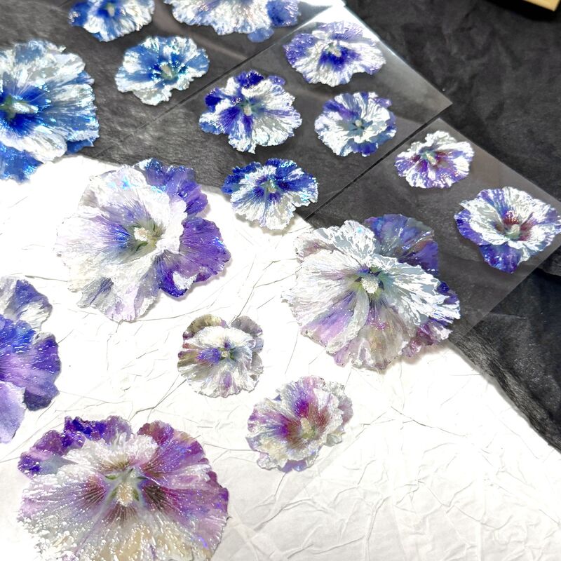 QYマステ6月新作 Ruri Bloom  6cm×5M 貝殻光