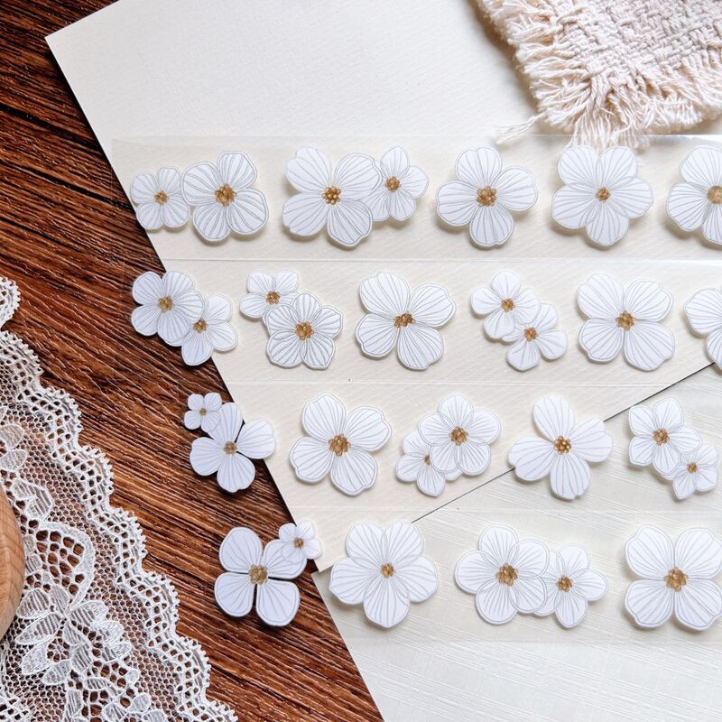QYマステ8月新作Sketch Petals 3cm×5M（5色500cmループ） PET