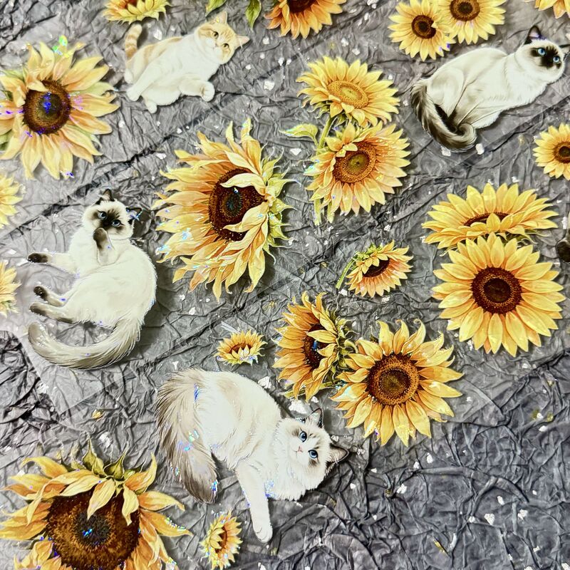 QYマステ8月新作Sunflower Haven 6cm×5M 貝殻光