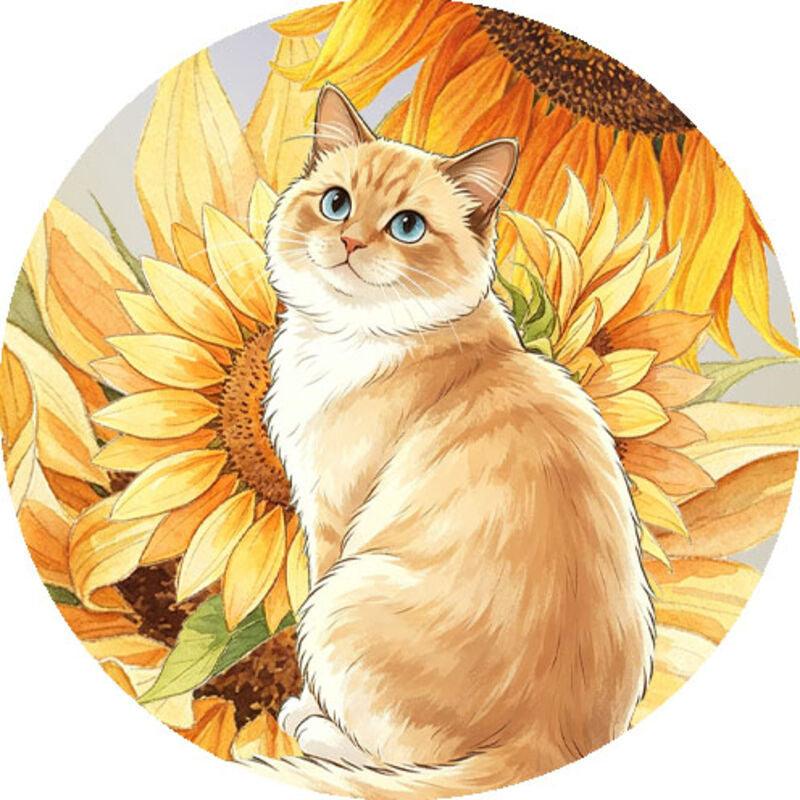 QYマステ8月新作Sunflower Haven 6cm×5M 貝殻光