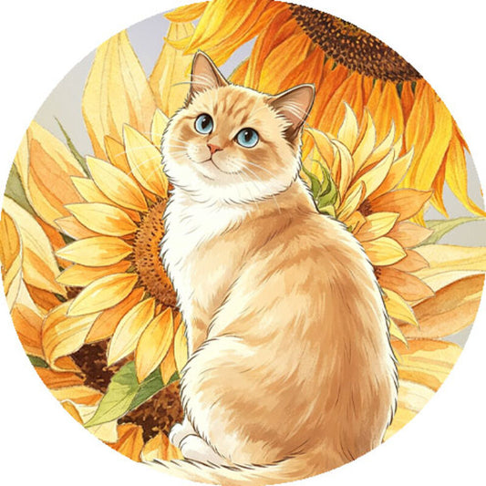 QYマステ8月新作Sunflower Haven 6cm×5M 貝殻光