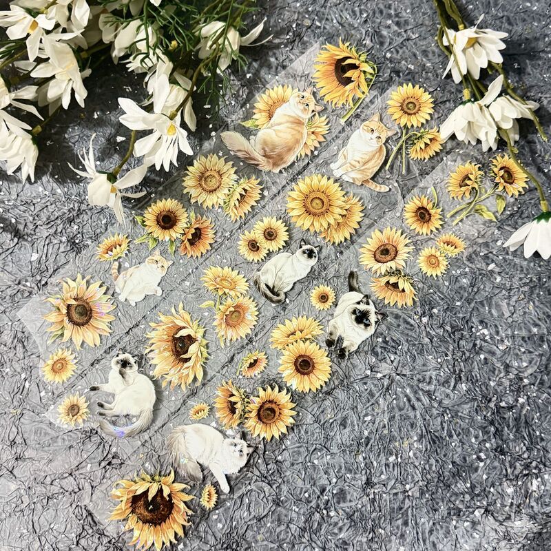 QYマステ8月新作Sunflower Haven 6cm×5M 貝殻光