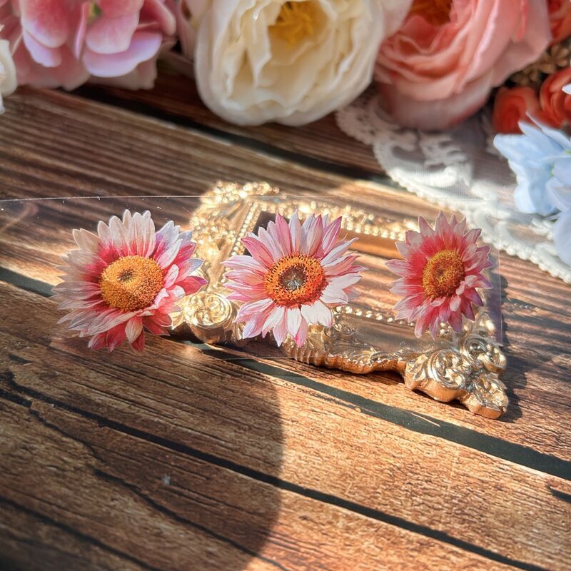QYマステ2月新作Sunflower 4cm×5M PET